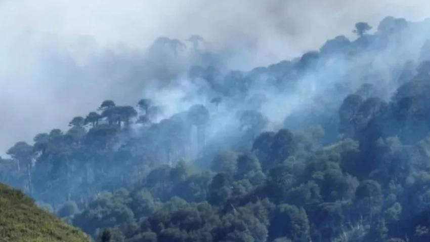 Parques Nacionales prohibió el uso del fuego hasta nuevo aviso