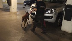 Por un mail anónimo, evacuaron el Coto en Neuquén: era una pésima broma