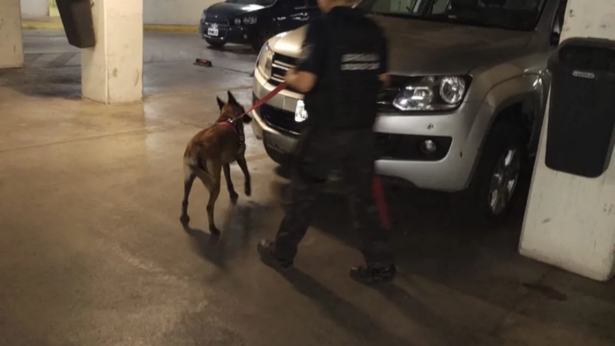 Por un mail anónimo, evacuaron el Coto en Neuquén: era una pésima broma