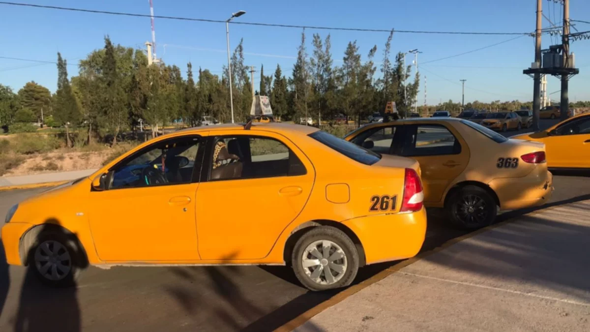 Reclamo de taxis: la Municipalidad aseguró que trabajarán "en consecuencia"