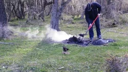 En Neuquén apagaron más de 60 fogones en zonas no permitidas