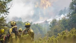 El viento incrementó el fuego en Valle Magdalena