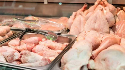Con los cortes de carne a $20 mil los argentinos eligen comer más pollo