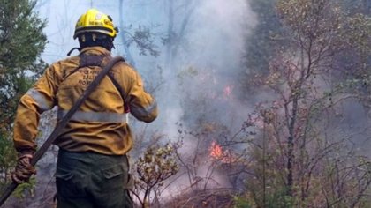 Incendios en Parque Nacional Lanín: la falta de lluvias no permite relajarse