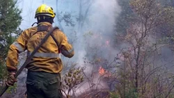 El Bolsón en llamas: identificaron a los incendiarios y están tras sus pasos