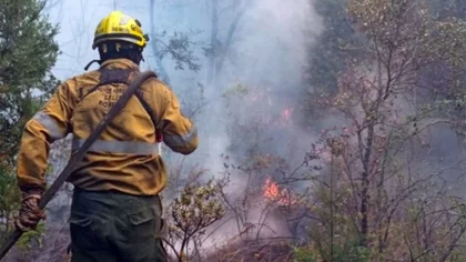 Incendios en Parque Nacional Lanín: la falta de lluvias no permite relajarse