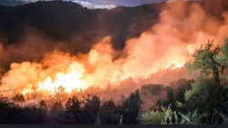 El Bolsón en llamas: otro detenido como sospechoso de iniciar el incendio