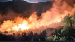 El Bolsón en llamas: otro detenido como sospechoso de iniciar el incendio