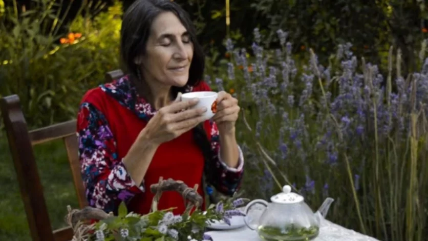 El poder curativo de las plantas de la Patagonia