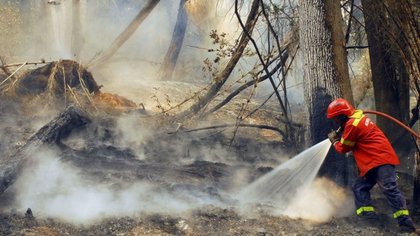 Ofrecen recompensa en Chubut por datos sobre incendiarios