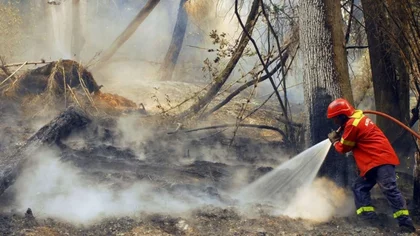 Ofrecen recompensa en Chubut por datos sobre incendiarios
