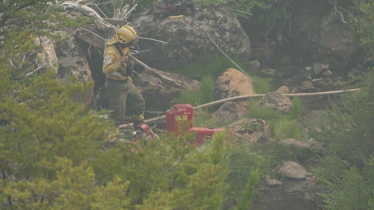 El viento complicó: fue una jornada de vigilancia activa en Valle Magdalena