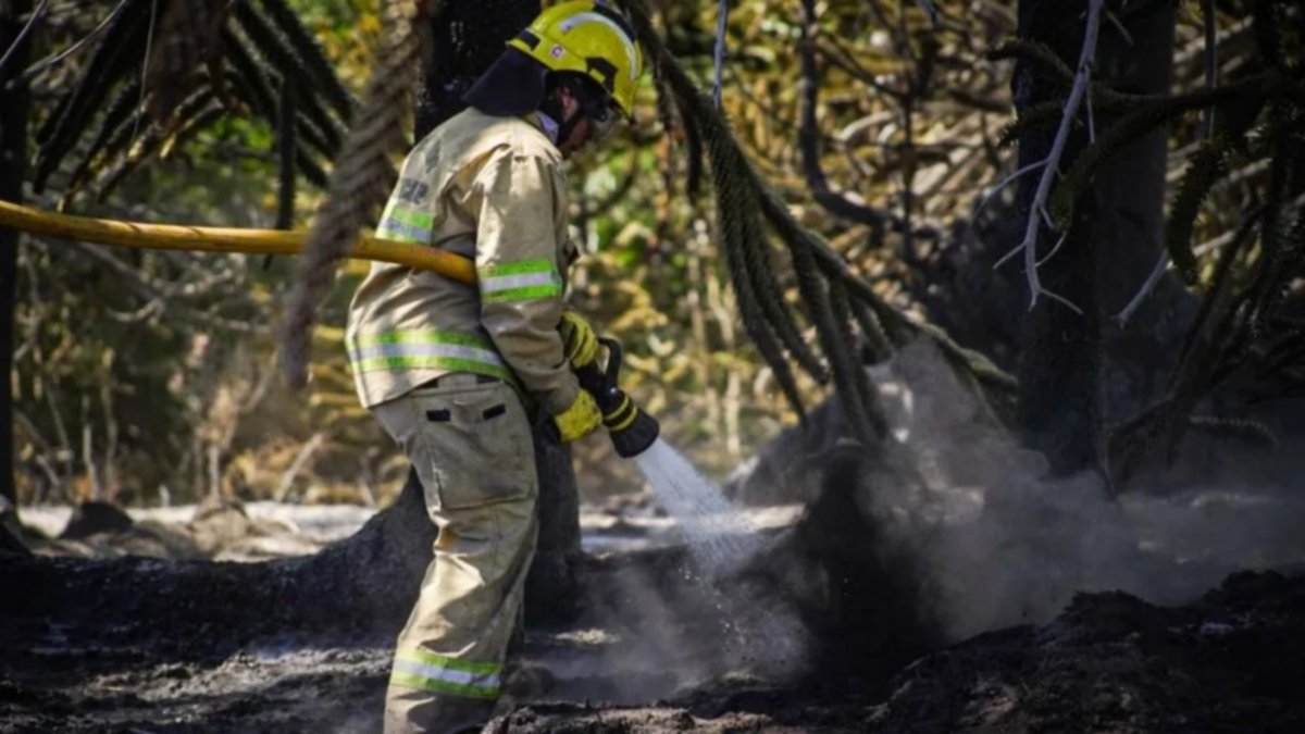 Prohibieron el uso de fuego en parques nacionales y sancionarán a quienes incumplan
