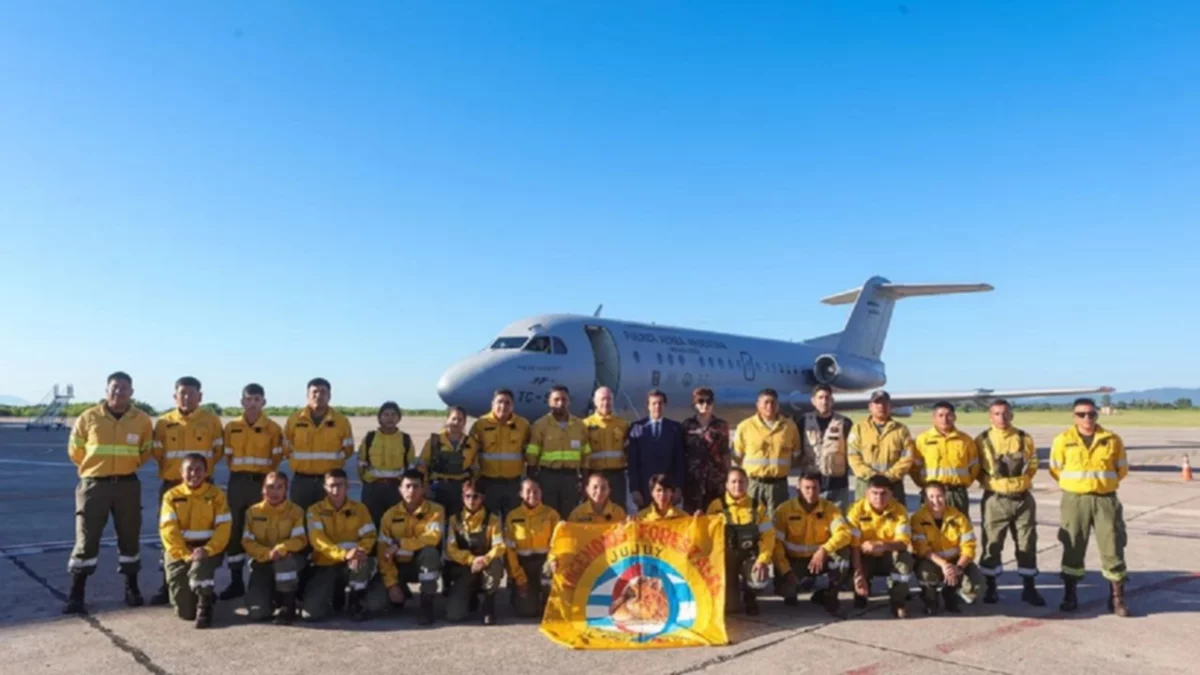 Incendio en el Parque Nacional Lanín: Jujuy envió brigadistas para combatir el fuego