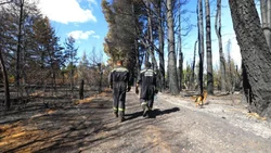 El Bolsón: cuatro de los seis focos de incendios están en fase de enfriamiento