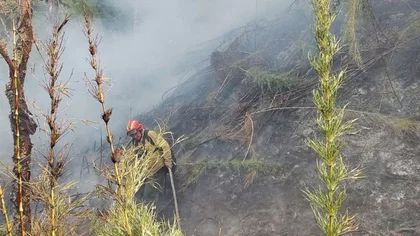 El viento complica la tarea de brigadistas en los Incendios de Valle Magdalena