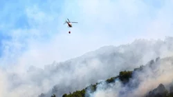 Combaten por tierra y aire el incendio que sigue activo y ya afectó 22 mil hectáreas