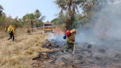 Qué es la Guardia de las Cenizas y que función cumple en medio de los incendios
