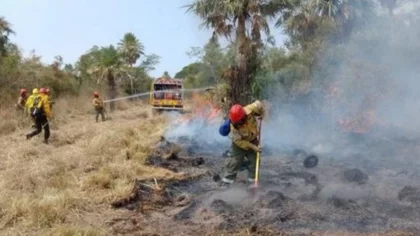 Qué es la Guardia de las Cenizas y que función cumple en medio de los incendios