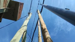 Insólito: Un "bosque" de postes florece en una esquina de la ciudad de Neuquén