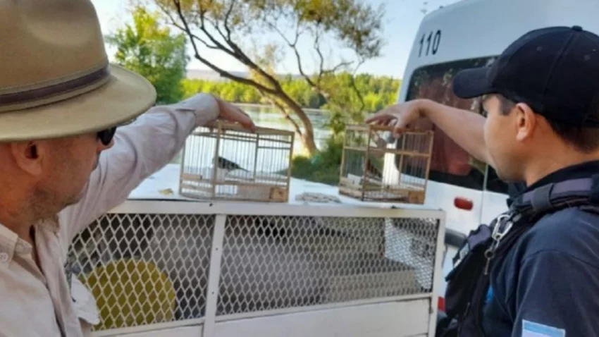 Quería llevarse dos aves autóctonas de Paso Córdoba y recibió una multa