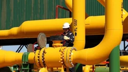 Neuquén comenzó el 2025 con un salto en la producción de gas y leve baja en el crudo
