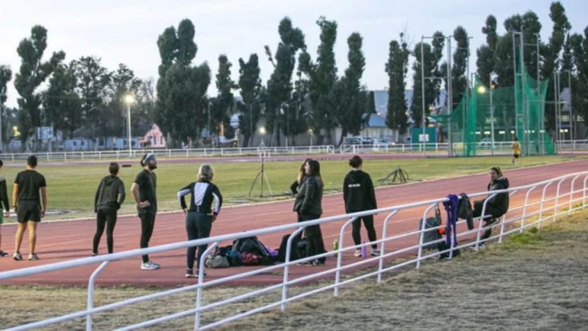La Ciudad Deportiva tendrá un pulmón verde con más de 600 árboles