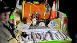Multan a pescadores furtivos y apagan fogones en el río Collón Curá