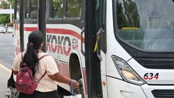 Paso por paso: cómo tramitar el Boleto Estudiantil Gratuito en Neuquén