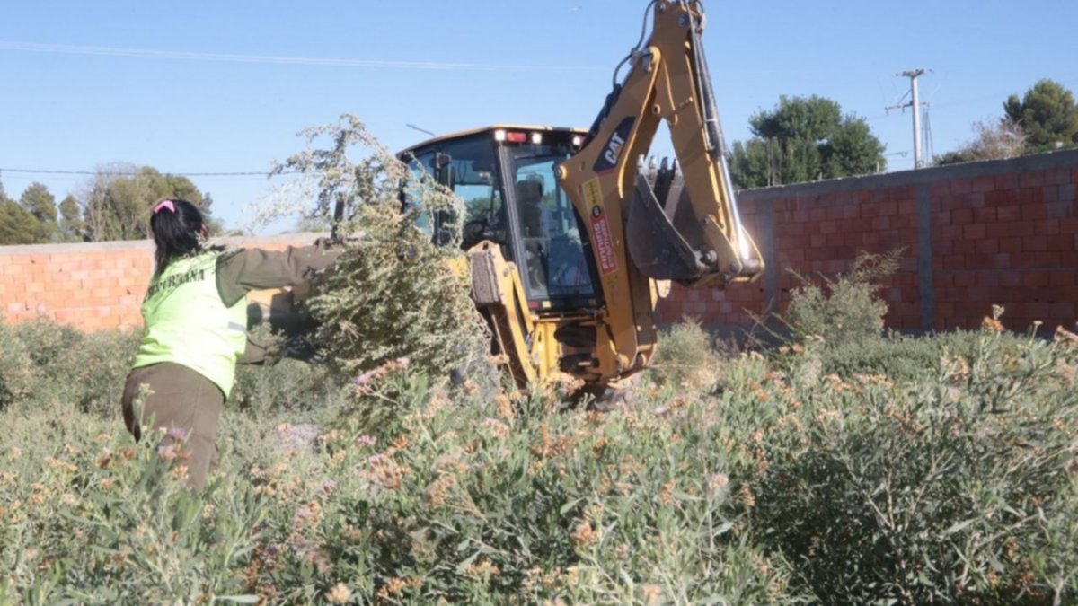 Neuquén: La Municipalidad sale a multar a los que no limpian los baldíos