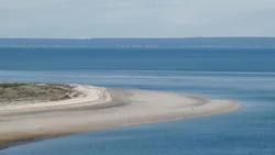Atención: prohíben capturar moluscos en una paradisíaca playa de Río Negro