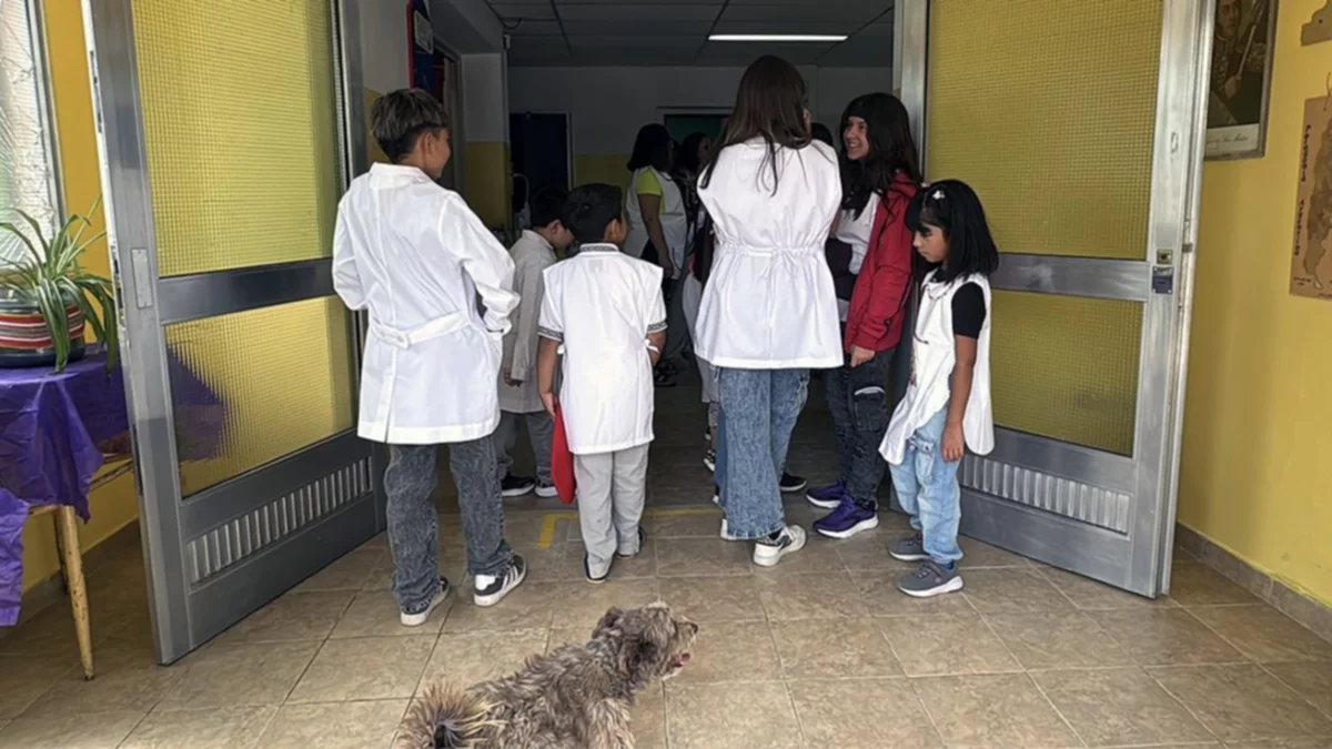 ¿Cuándo empiezan las clases en Río Negro?