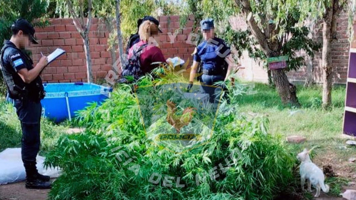 Cuatro detenidos con armas y droga, en Centenario