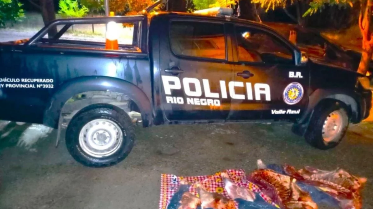 Llevaba escondidos 90 kilos de carne en una mochila y fue atrapado