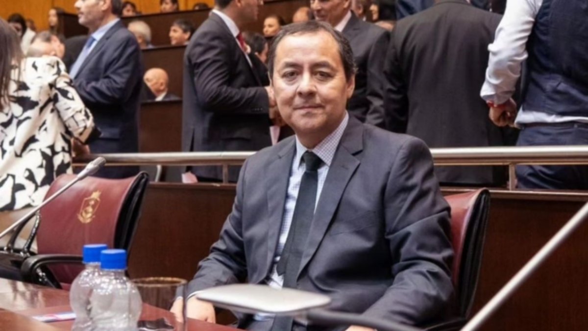 Edad de imputabilidad: “Estamos impregnados de zaffaronismo”, dijo el diputado Ernesto Novoa