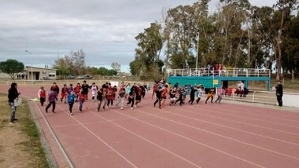 Transparencia en los aportes: de qué trata el Registro Único de Deportes y Actividad Física que propuso Figueroa
