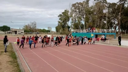 Transparencia en los aportes: de qué trata el Registro Único de Deportes y Actividad Física que propuso Figueroa