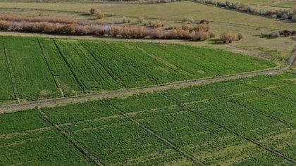 Un niño de 4 años murió tras caer de la caja de una camioneta