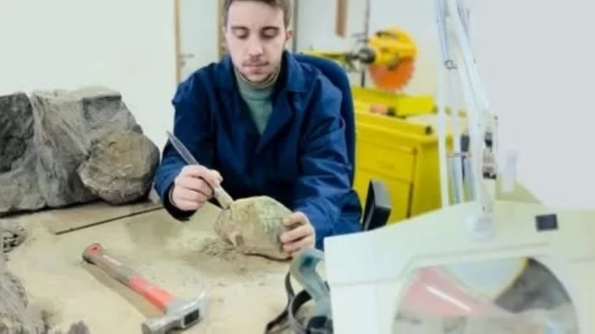 Estudian el cráneo de un fósil de reptil marino de 150 millones de años hallado en el norte neuquino