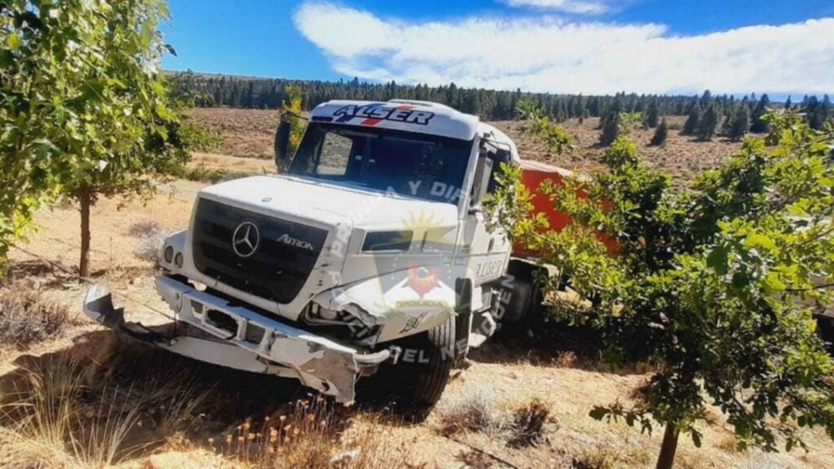 Camión despistó en la Ruta 237 y terminó dentro de una estancia