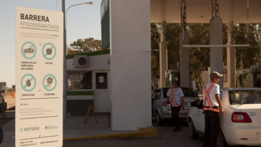 Fin al tráfico de asado: Nación permite el ingreso de carne con hueso a la Patagonia