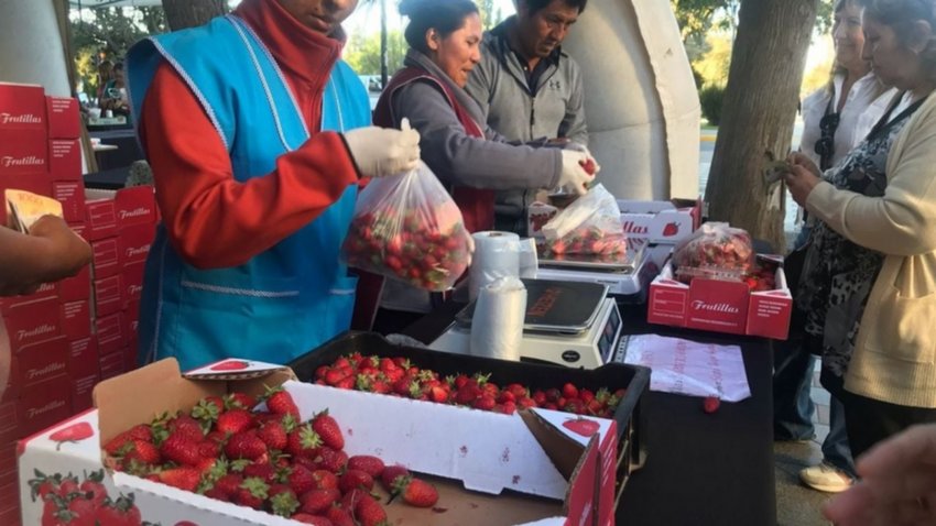 Furor por los frutos rojos en la feria de Neuquén ¿Hasta qué hora funcionará?