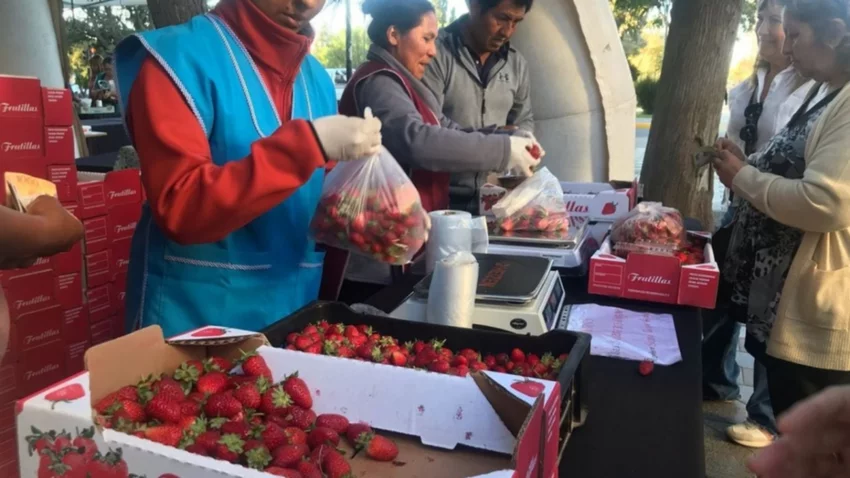 Furor por los frutos rojos en la feria de Neuquén ¿Hasta qué hora funcionará?
