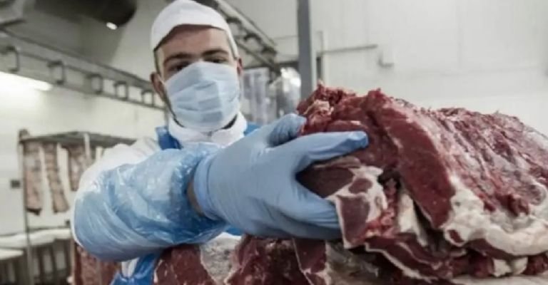 Figueroa quiere "bajar el precio de la carne" para "proteger al productor neuquino"- Figueroa quiere "bajar el precio de la carne" para "proteger al productor neuquino"