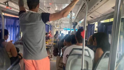 Tras un mes de prueba, suspendieron el transporte urbano dentro de Fernández Oro