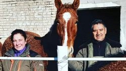 Traigan el acondicionador: reaparecieron los caballos con rulos en la Patagonia