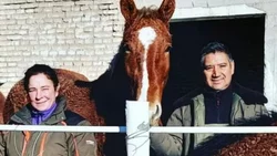 Traigan el acondicionador: reaparecieron los caballos con rulos en la Patagonia