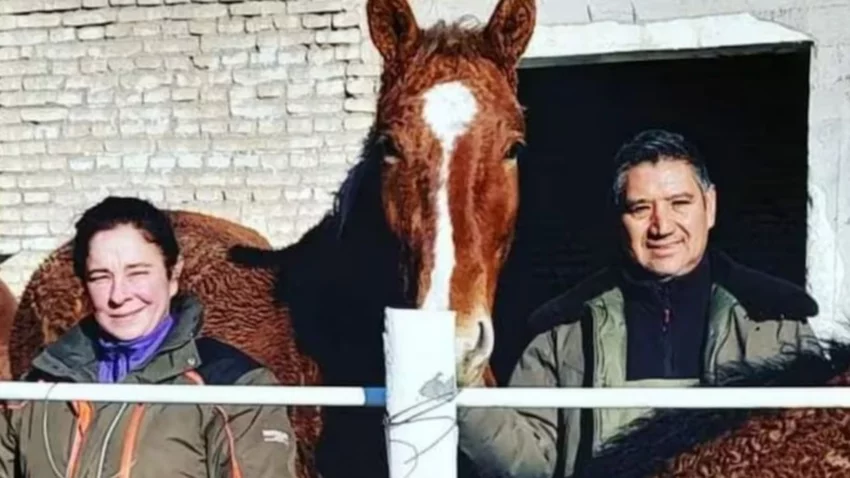 Traigan el acondicionador: reaparecieron los caballos con rulos en la Patagonia