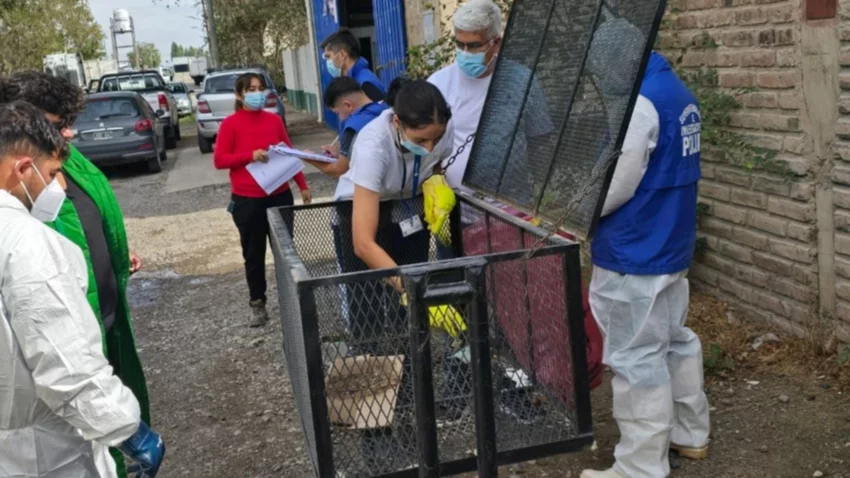 Un hombre tiró basura patogénica en las calles de Neuquén y quedó escrachado por una cámara
