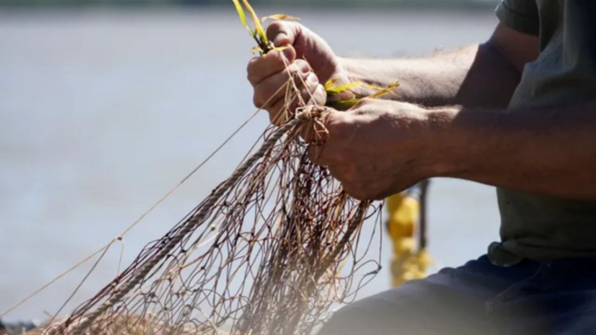 Video viral: Un pescador reveló el mejor truco para pescar con una fruta como carnada